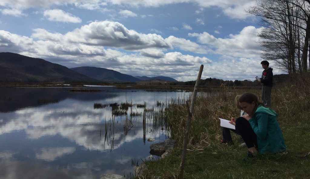 Studying at Bristol Pond